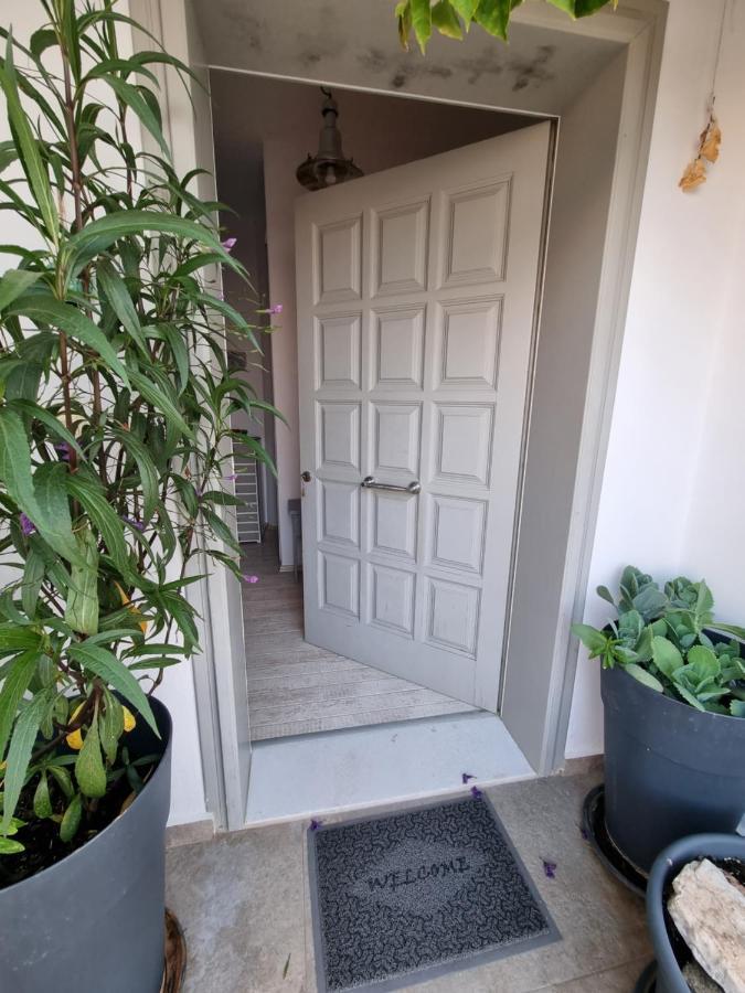 Hara'S Villa In Naousa , Paros Exterior photo