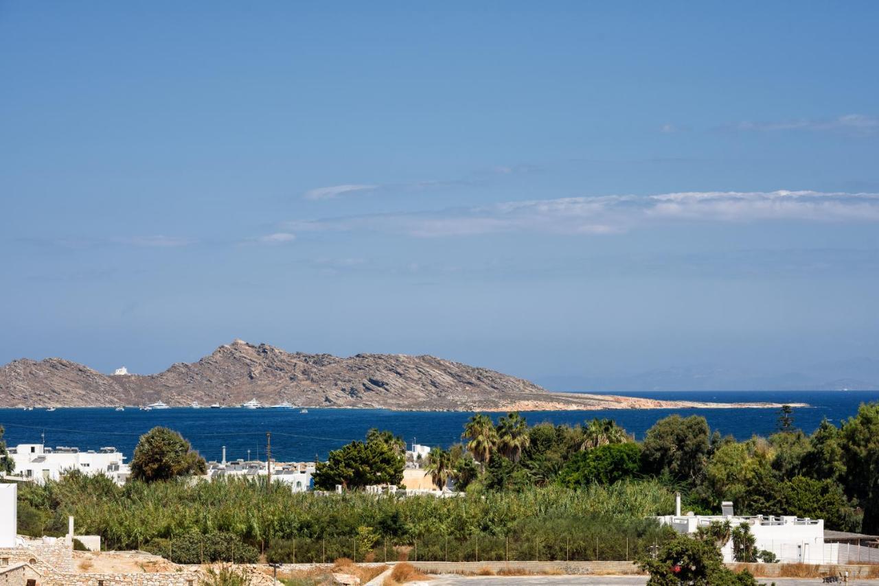 Hara'S Villa In Naousa , Paros Exterior photo